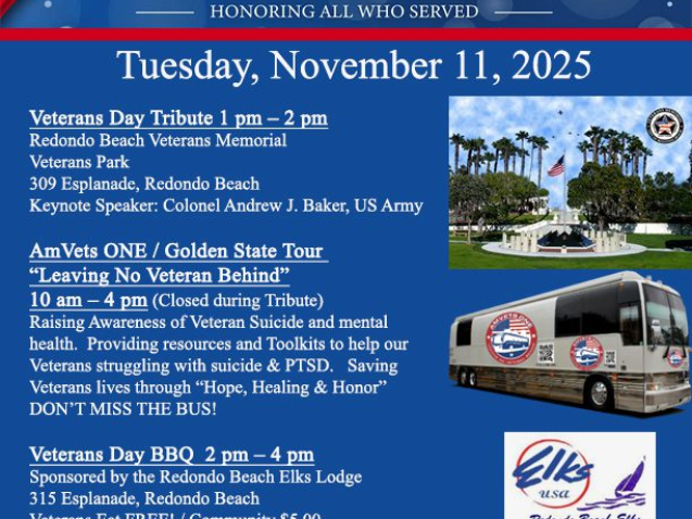 flyer for PVACC Veteran's Day celebration